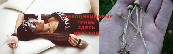 не бодяженный Верея