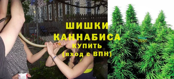 не бодяженный Верея